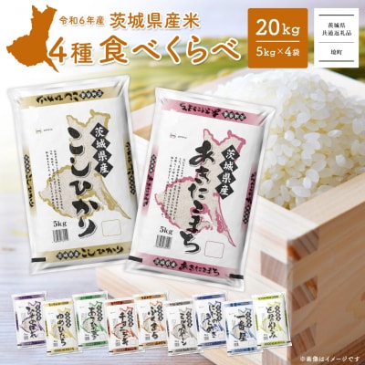 令和6年新米 鳥取県オリジナル米