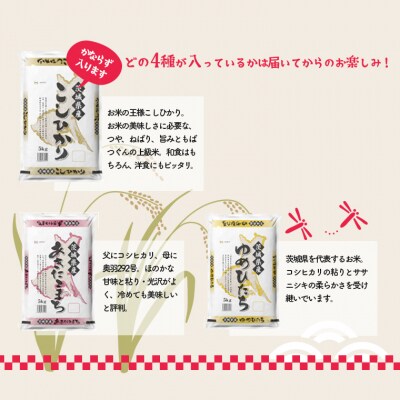 【令和4年産 新米 先行受付】 お米4種食べくらべ 20kg 茨城県産 限定月3000セット