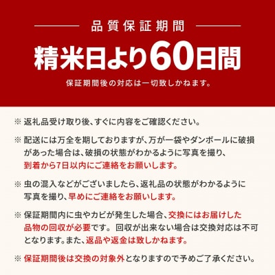 【新米先行受付!!】 令和7年産 白米 食べ比べ 4種 (5kg×4袋) 〈令和7年9月内発送〉