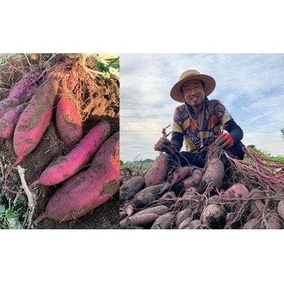 【2026年5月内発送】干し芋「ほしいもの百貨」べにはるか 切り落とし (200g×6袋)