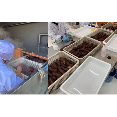 干し芋専門店「ほしいもの百貨」べにはるか産直切り落とし(200g×6袋)