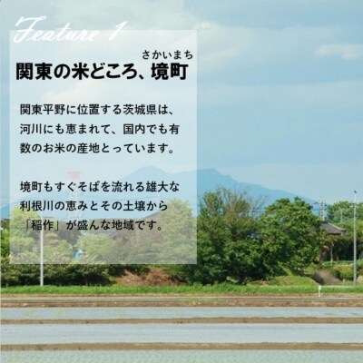 【3か月毎月発送】 定期便 3000セット 限定 お米 4種 食べくらべ 20kg 茨城県産