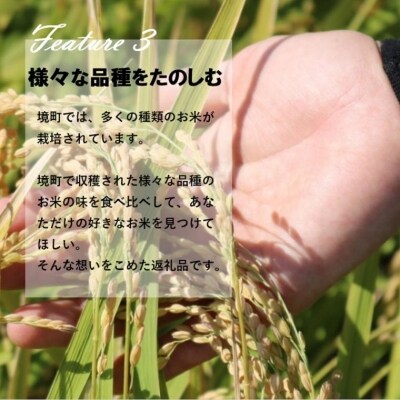 【3か月毎月発送】 定期便 3000セット 限定 お米 4種 食べくらべ 20kg 茨城県産