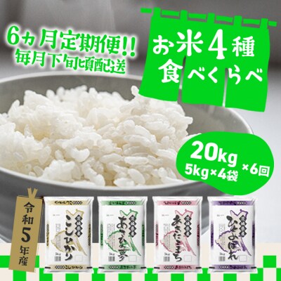定期便 初回2024年08月下旬発送【6か月毎月発送】 お米4種食べくらべ20kg 茨城県産 | ふるさと納税のお礼品