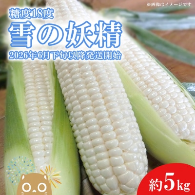 【先行受付】糖度18度前後 白い とうもろこし「雪の妖精」約5kg入り 1000セット限定!!