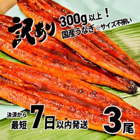 〈7日以内発送〉【訳あり】さかい河岸水産の国産うなぎ3尾 300g以上! ※サイズ不揃い