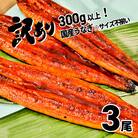 〈2024年03月発送〉【訳あり】さかい河岸水産の国産うなぎ3尾 300g以上! ※サイズ不揃い