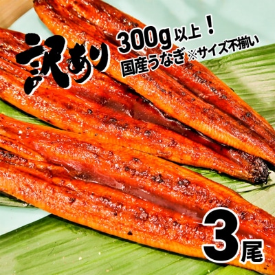 〈2025年3月発送〉【訳あり】さかい河岸水産の国産うなぎ3尾 300g以上! ※サイズ不揃い