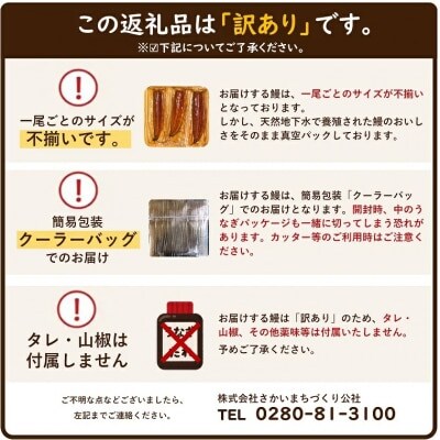 〈2025年3月発送〉【訳あり】さかい河岸水産の国産うなぎ3尾 300g以上! ※サイズ不揃い