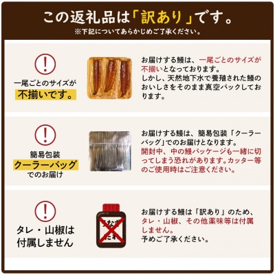 〈2026年04月発送〉【訳あり】国産 うなぎ蒲焼 3尾 330g以上 うなぎ 鰻 蒲焼き