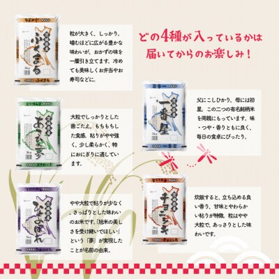 【令和4年産 新米 先行受付】 お米4種食べくらべ 20kg 茨城県産 限定月3000セット