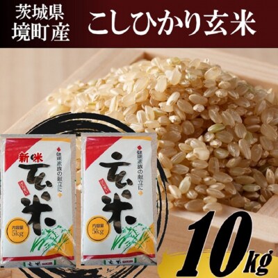 ふるさと納税 境町 新鮮野菜を盛り沢山&茨城県産コシヒカリ5kgセット