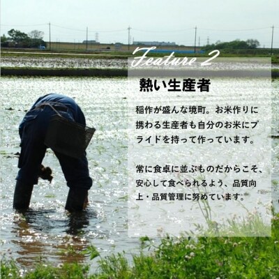 【3ヶ月定期便】令和4年産茨城県境町産「こしひかり」白米10kg(5kg×2袋)×3ヶ月(30kg)