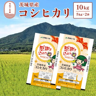 【令和7年産】茨城県産 コシヒカリ20kg (10kg×2袋) 白米 JA茨城むつみ こしひかり K