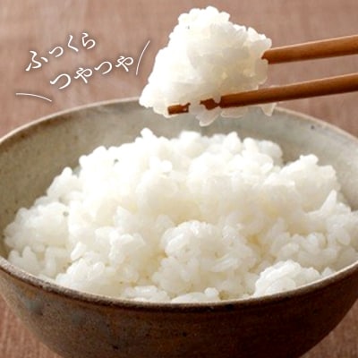 【令和7年産】茨城県産 コシヒカリ20kg (10kg×2袋) 白米 JA茨城むつみ こしひかり