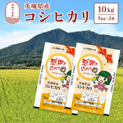 【令和7年産】茨城県産 コシヒカリ10kg (5kg×2袋) 白米 JA茨城むつみ こしひかり