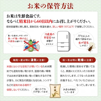 【令和7年産】茨城県産 コシヒカリ10kg (5kg×2袋) 白米 JA茨城むつみ こしひかり
