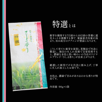 お茶農家のさしま茶詰合わせ ギフトセット