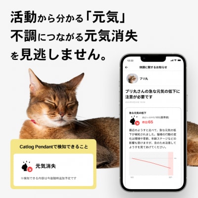 【3猫様用】Catlog基本セット + 追加Pendant 2本