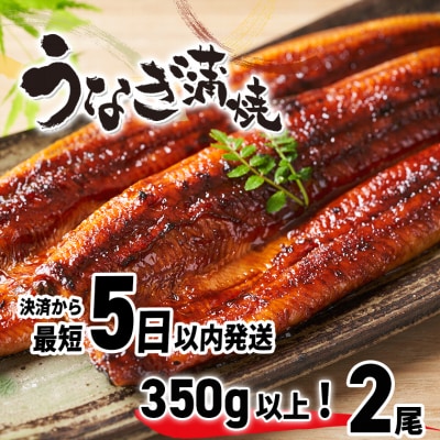 【5日以内に発送】国産 うなぎ 蒲焼 2尾(350g以上) タレ 山椒付き