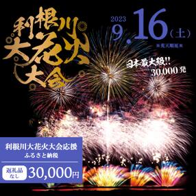 【返礼品なし】利根川大花火大会応援ふるさと納税 (30000円分) 【茨城県境町】