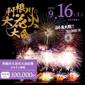 【返礼品なし】利根川大花火大会応援ふるさと納税 (100000円分) 【茨城県境町】