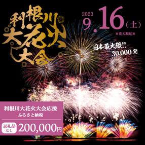 【返礼品なし】利根川大花火大会応援ふるさと納税 (200000円分) 【茨城県境町】