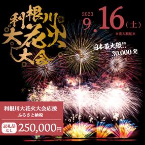 【返礼品なし】利根川大花火大会応援ふるさと納税 (250000円分) 【茨城県境町】