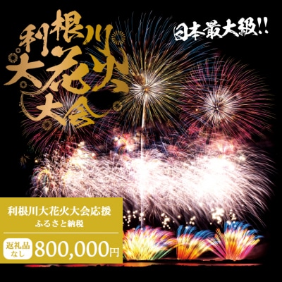 【返礼品なし】利根川大花火大会応援ふるさと納税  (800000円分)  【茨城県境町】