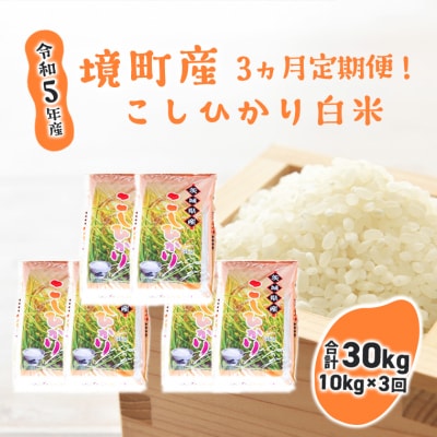 【3ヶ月定期便】令和5年産 茨城県 境町産 こだわり「こしひかり」白米10kg×3回(合計30kg)