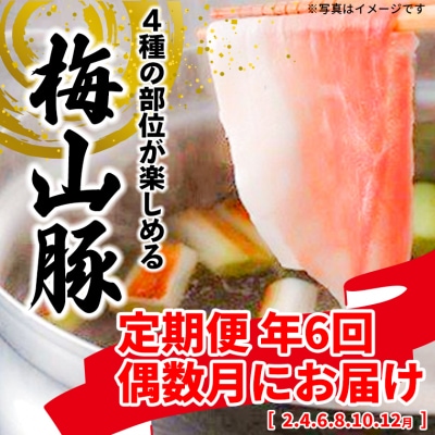 【6回定期便・偶数月発送】 〈梅山豚〉 しゃぶしゃぶセット 塚原牧場 メイシャントン