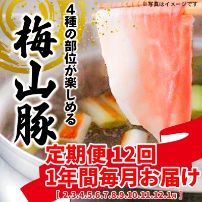 【12回毎月定期便】 塚原牧場  「梅山豚」 しゃぶしゃぶセット メイシャントン