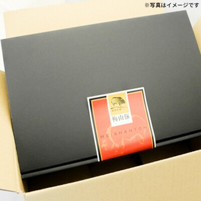 【12回毎月定期便】 塚原牧場  「梅山豚」 しゃぶしゃぶセット メイシャントン