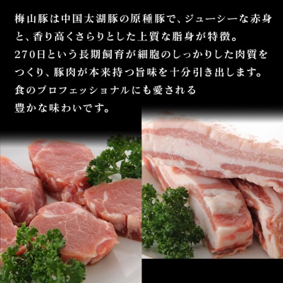 梅山豚のハンバーグ3種セット