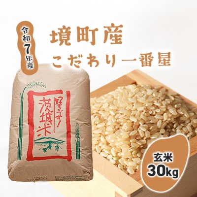 【令和7年産】境町のこだわり玄米 「一番星」30kg