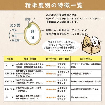 【令和7年産】境町のこだわり玄米 「一番星」30kg
