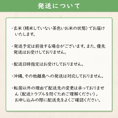 【令和7年産】境町のこだわり玄米 「一番星」30kg