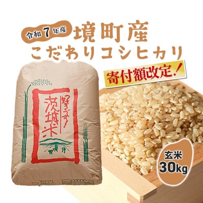 米 玄米 コシヒカリ 30kg 令和7年産 国産 茨城県 境町産 大容量 数量限定 こしひかり お米