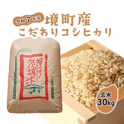 米 玄米 コシヒカリ 30kg 令和7年産 国産 茨城県 境町産 大容量 数量限定 こしひかり お米