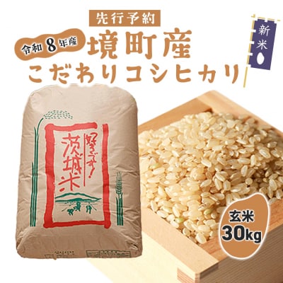 米 玄米 コシヒカリ 30kg 令和8年産 国産 茨城県 境町産 大容量 数量限定 こしひかり お米