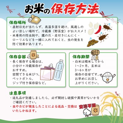 【令和7年産】境町こだわり玄米 「コシヒカリ」 30kg