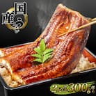 国産 うなぎ 蒲焼き 境町秘伝のタレ 4度焼きあげ 2尾 計300g以上 簡易包装 タレ 山椒 付き