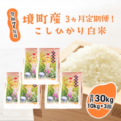 【3ヶ月連続定期便】令和7年産 境町のこだわり「こしひかり」 白米10kg(5kg×2袋)×3ヶ月