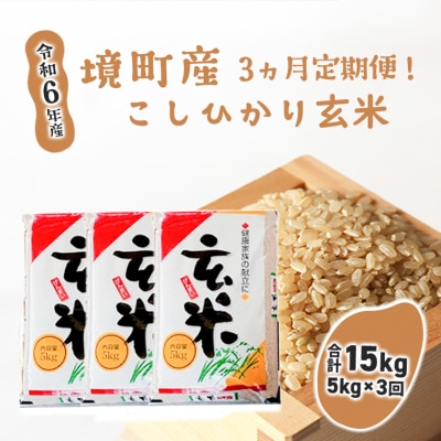 【3ヶ月定期便】令和6年産 茨城県 境町 こだわり「こしひかり」 玄米5kg×3回(合計15kg)