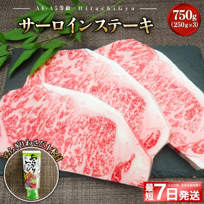 <最短7日発送> 常陸牛A5 サーロインステーキ750g (250g×3枚) あらぎりわさび1本付