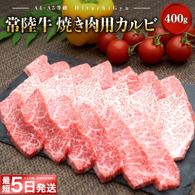 <最短5日発送> 常陸牛 (ひたちぎゅう) 【A5・A4等級】焼肉用 カルビ 400g