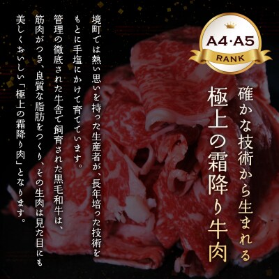 <最短5日発送> 常陸牛 (ひたちぎゅう) 【A5・A4等級】焼肉用 赤身 もも肉 500g