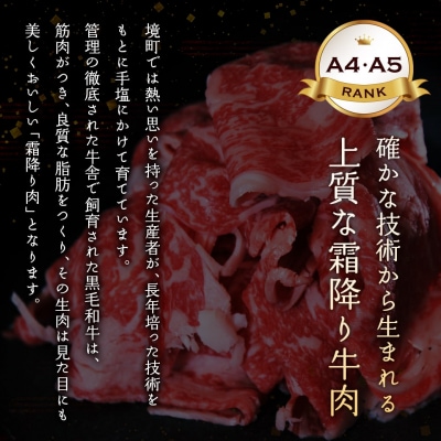 【A4・A5等級】常陸牛 サイコロステーキ 400g 境町 コロコロ 霜降り 牛肉 ブロック