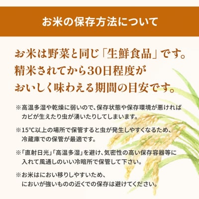 【新米/無洗米】 令和7年産 〈令和7年12月内発送〉 あきたこまち 10kg (5kg×2袋)