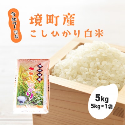 【令和7年産】境町こだわり白米「コシヒカリ」 5kg(5kg×1袋)